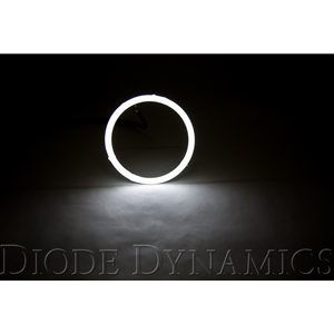 Diode Dynamics Halo Lights LED 120mm White Single