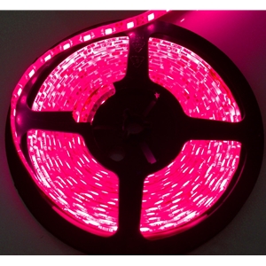 Race Sport Lighting 16 ft 5M 3528 LED Solid Color Strip Pink