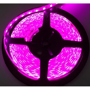 Race Sport Lighting 16 ft 5M 3528 LED Solid Color Strip Purple