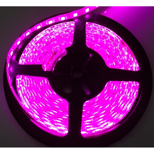 Race Sport Lighting 9 ft 3M 3528 LED Strip Purple 